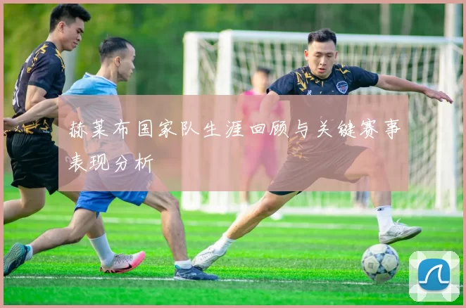 赫莱布国家队生涯回顾与关键赛事表现分析