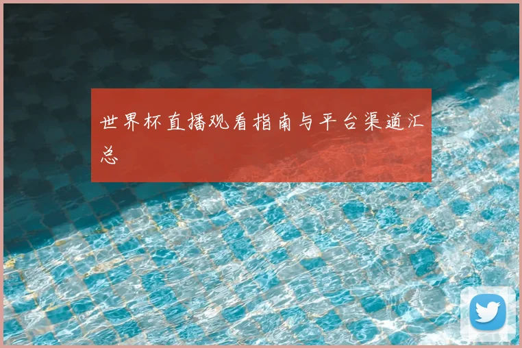 世界杯直播观看指南与平台渠道汇总