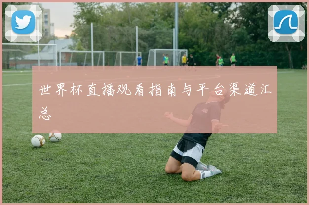 世界杯直播观看指南与平台渠道汇总